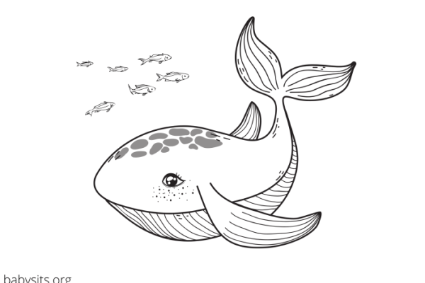 Sea animal coloring pages printable free