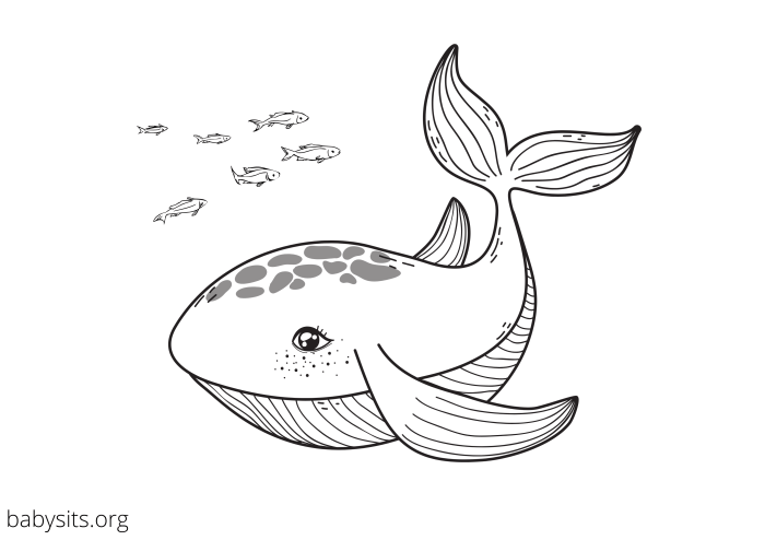 Sea animal coloring pages printable free