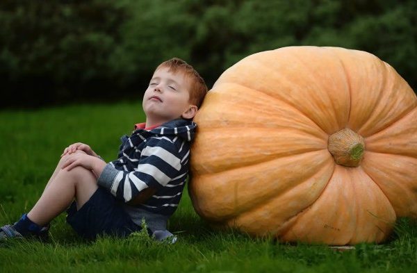 Kinder zur veganer ernährung zwingen