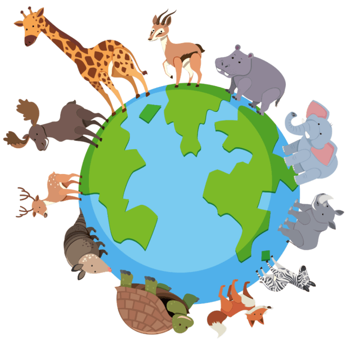 Animal coloring sheets free