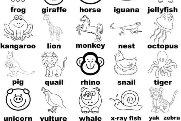 Abc animal coloring pages