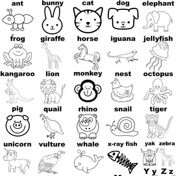 Abc animal coloring pages