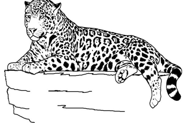 Printable coloring pages animals