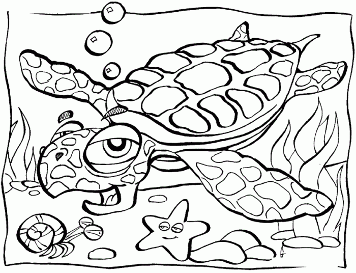 Free ocean animal coloring pages