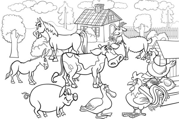 Farm animal coloring pages'