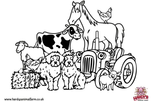 Farm animal coloring sheets