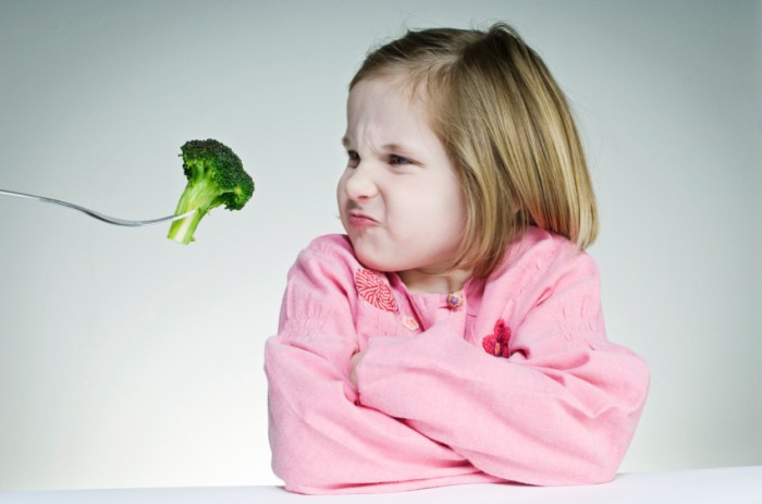 Kinder gesund ernähren die nicht alles essen