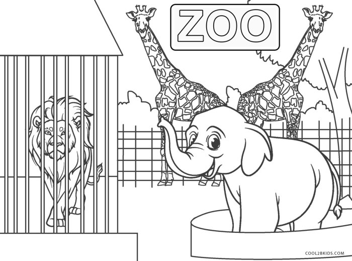 Coloring pictures of animals in a zoo