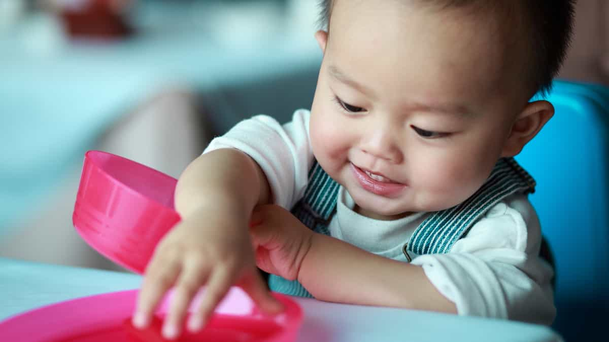 Meals toddler snacks cooking truro yr