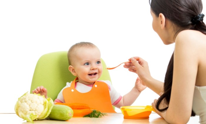 Online fortbildung ernährung kinder