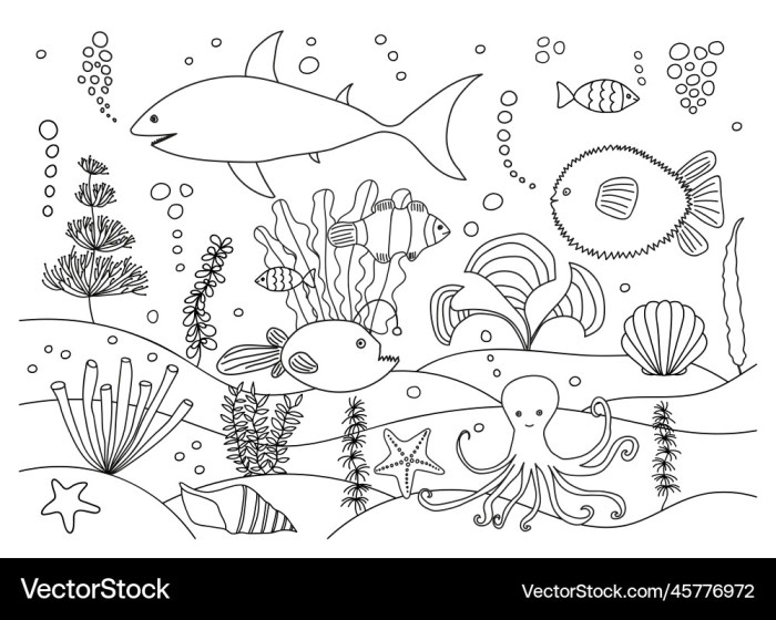 Sea animal coloring page