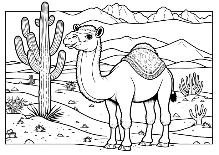 Desert animal coloring pictures