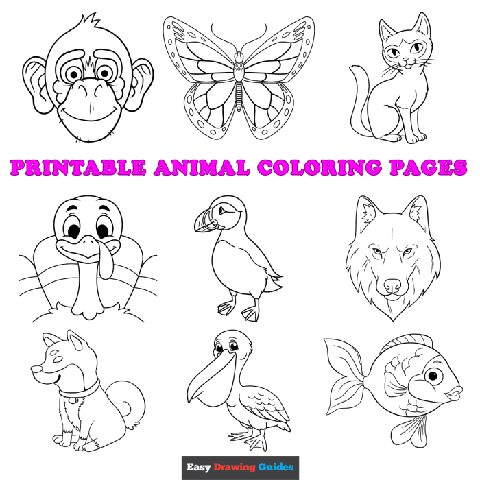 Easy animal coloring pages