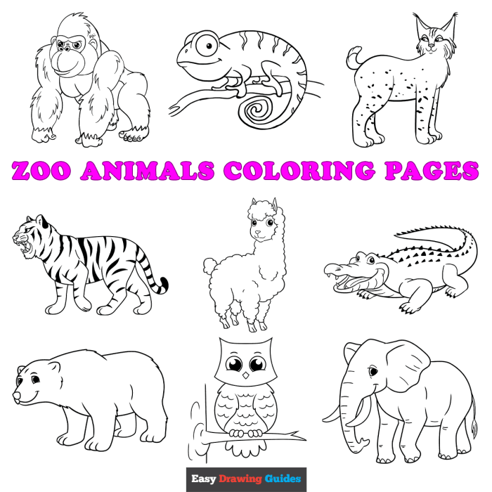 Animal coloring sheets free