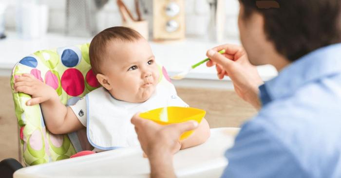 Kinder gesund ernähren die nicht alles essen