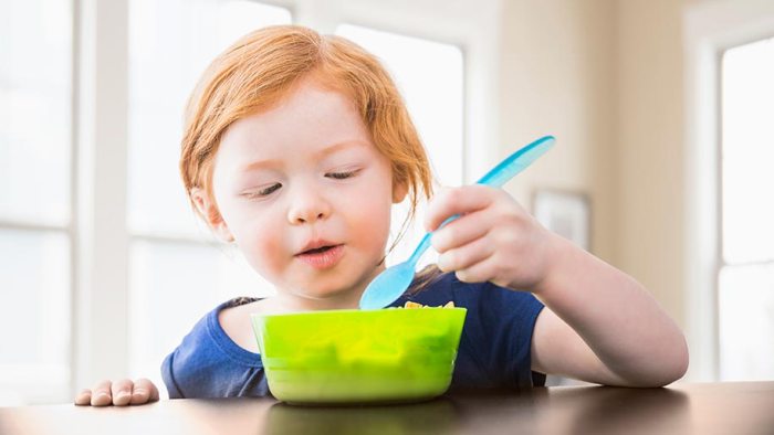 Eisenmangel bei kindern ernährung