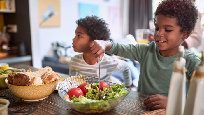 Kinder vegetarisch ernähren dge