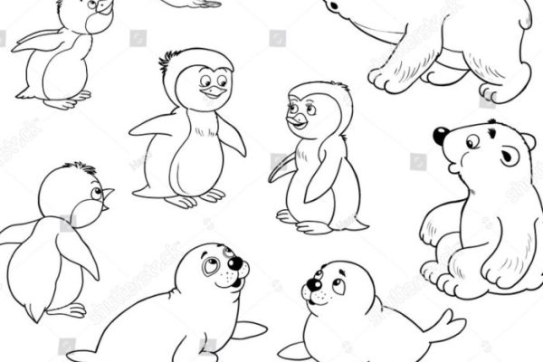 Arctic animals coloring sheets