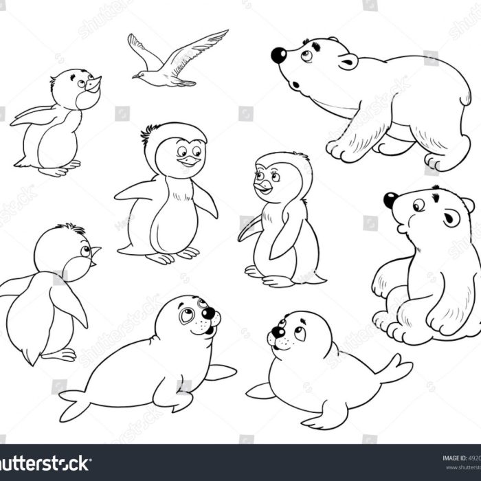 Arctic animals coloring sheets