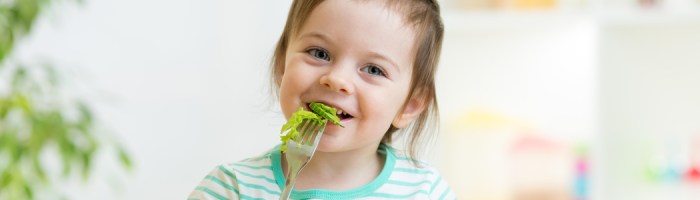 Kinder vegetarisch ernähren dge