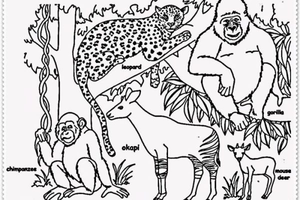 Jungle animal coloring pages