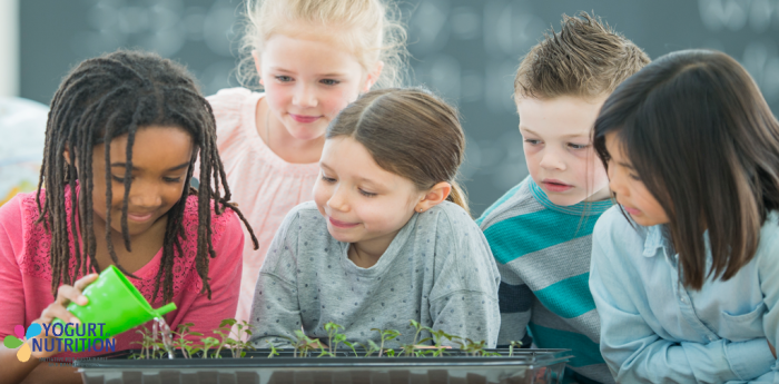 Nachhaltige ernährung für kinder erklärt