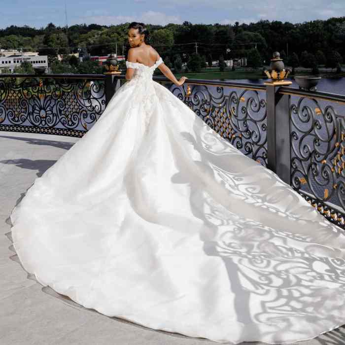 Cathedral train wedding dress